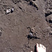 Nathaniel Beach Photo 10