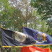 Roger Phillips Photo 31