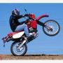 Davin Robinson Photo 4