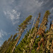 Scott Cloud Photo 36
