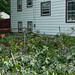 Paula Harmon Photo 12