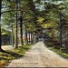 Mary Keene Photo 16
