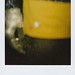 Nathan Short Photo 47