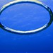 Larry Ring Photo 15