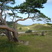 Heather Hill Photo 19