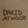 David Atwood Photo 14