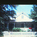 Mildred Solomon Photo 7