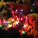 Sammy Light Photo 7
