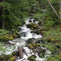 Kimberly Baxter Photo 26