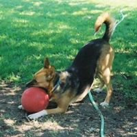 Ann Potts Photo 32