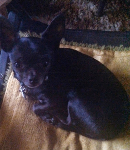 Cheryl Summers Photo 3