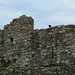 Norman Crow Photo 8