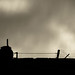 John Brubaker Photo 26