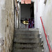 Anne Lam Photo 27