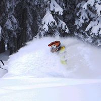 Brian Mccleary Photo 14