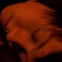 David Saxton Photo 21