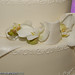 Tereza Robinson Photo 9