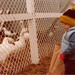 Jason Winters Photo 37
