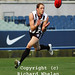 Mark Fraser Photo 25