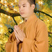 Vien Tran Photo 22