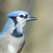Jay Yates Photo 15