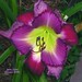 Curt Hansen Photo 41