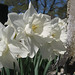 Paula Jenkins Photo 29