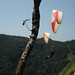 Jean Rainsford Photo 9