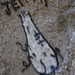 Bill Jeffries Photo 22