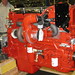 Allison Cummins Photo 28