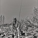 Lynn Scott Photo 43