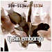 Lisa Ng Photo 19