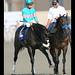 Clement Smith Photo 16