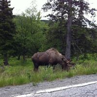 Rod Rhoades Photo 6