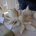 Brenda Parson Photo 21