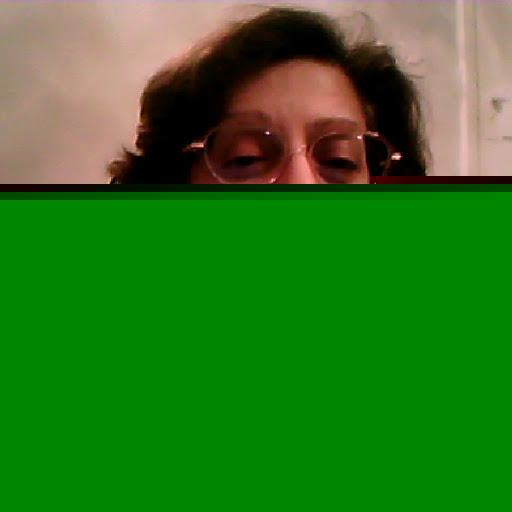 Rehana Hussain Photo 25