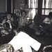 Vicki Boyd Photo 15