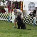Kathy Simmons Photo 16