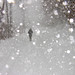 Kevin Snow Photo 41