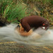 Ravi Dua Photo 10