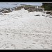 Sandy White Photo 14