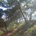 Casey Winters Photo 34