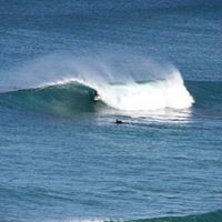 Troy Davison Photo 24