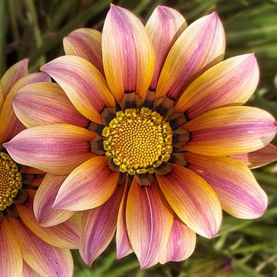 Heather Collins Photo 49