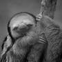 Benjamin Watts Photo 31