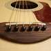 Michelle Addario Photo 1