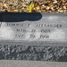 Tommie Alexander Photo 3