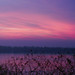 Dawn Costa Photo 21