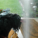 Kerry Floyd Photo 18