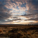 Dawn Dale Photo 20